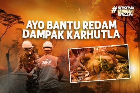 Saat Hutan Terbakar, Kehidupan Membutuhkan Kita