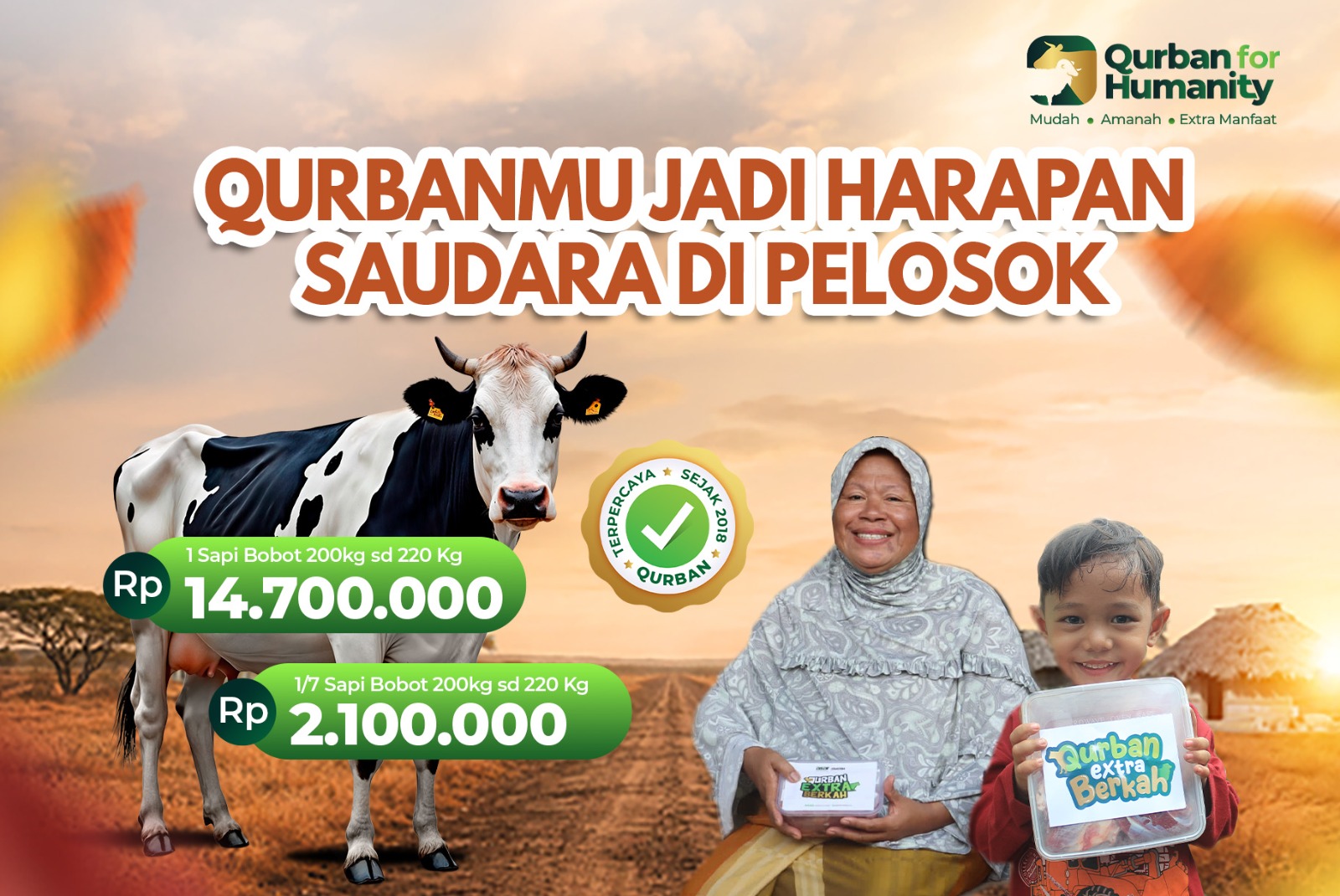 Qurban Sapi Utuh dalam Negeri