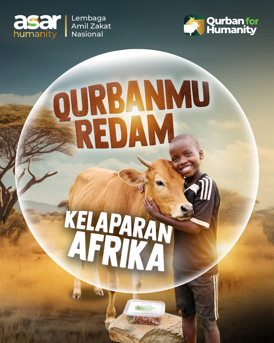 Sapi Utuh Afrika