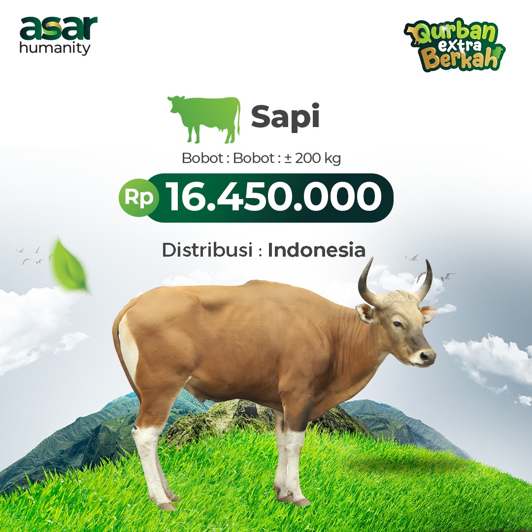Sapi Utuh Indonesia