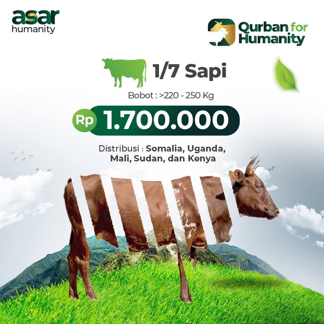 1/7 Sapi
