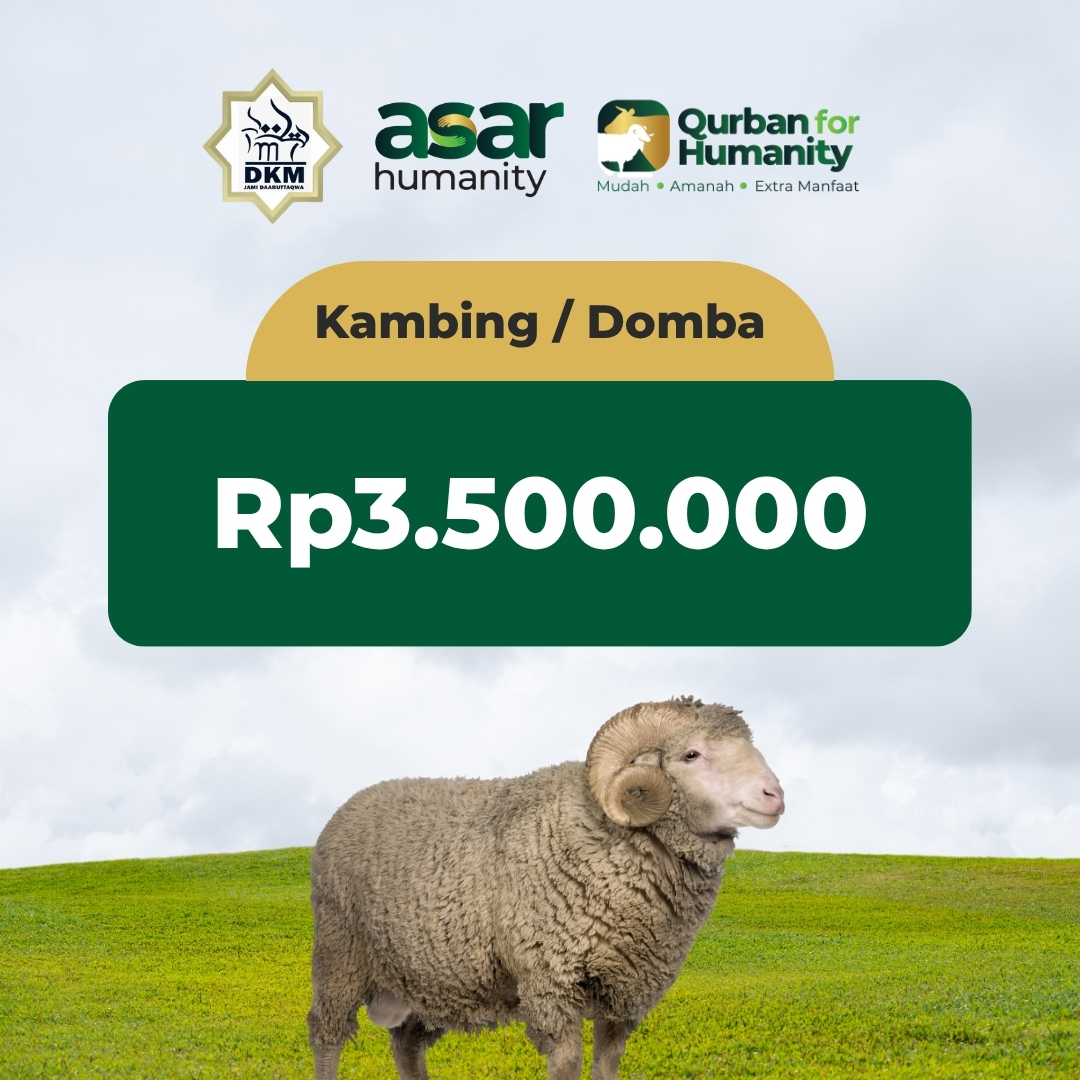 Kambing / Domba