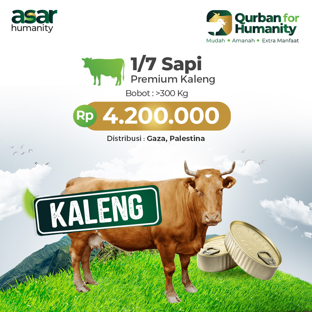 1/7 Sapi Utuh palestina